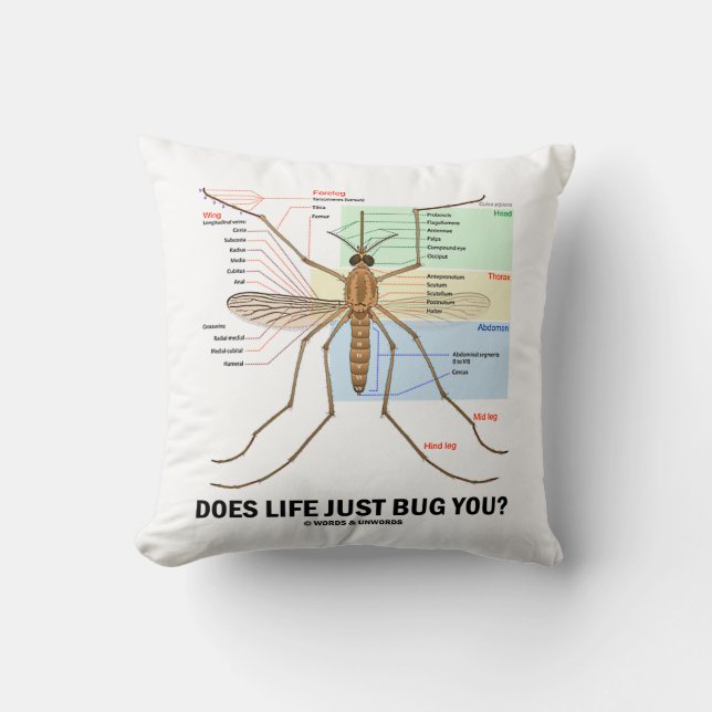 Coussin La vie vous branche-t-elle juste sur table (Recto)