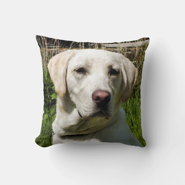 COUSSIN LABRADOR DOG (Recto)