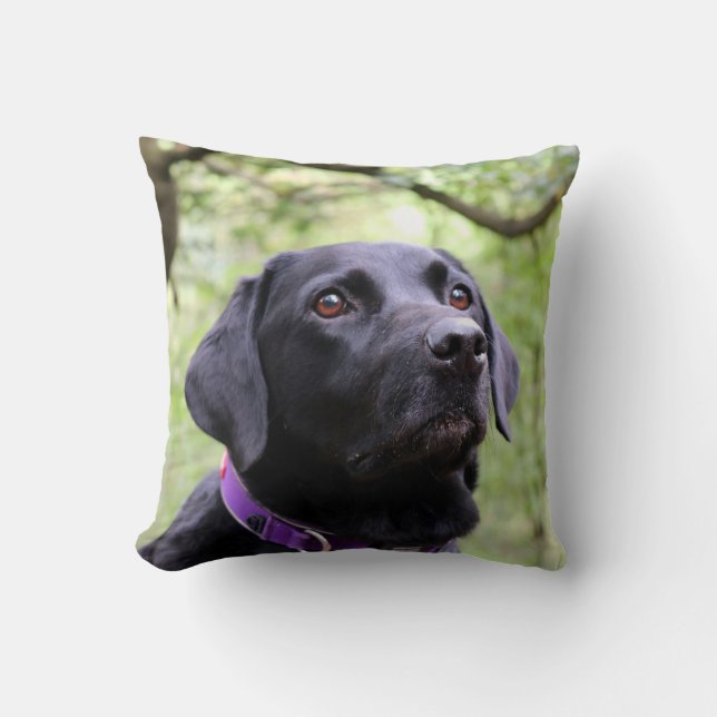 Coussin Labrador noir (Recto)