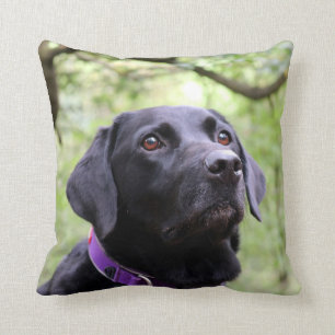 Coussin Labrador noir