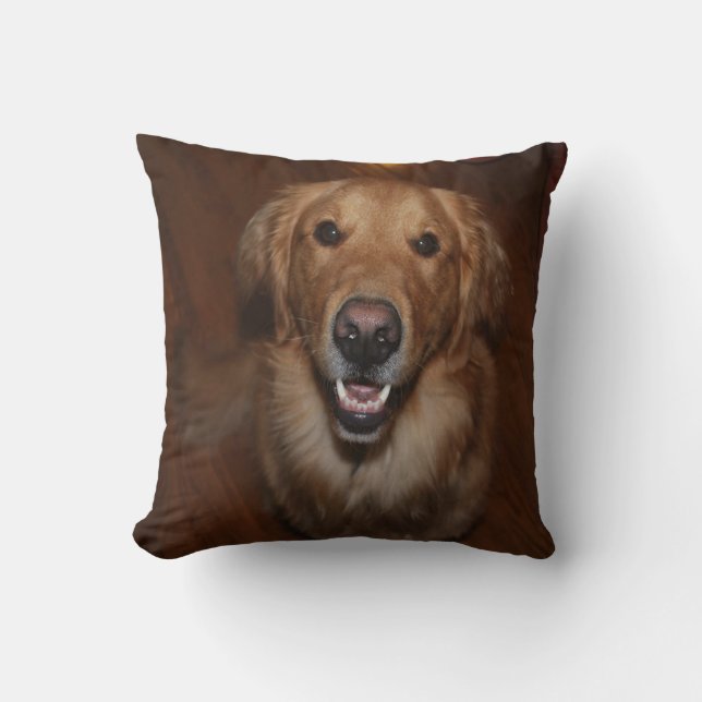 Coussin Labrador retriever (Recto)