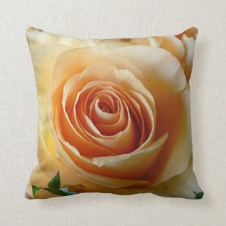 Coussin L'abricot s'est levé