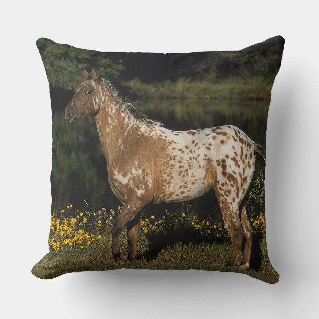 Coussin Lac se tenant prêt horse d'Appaloosa (Recto)