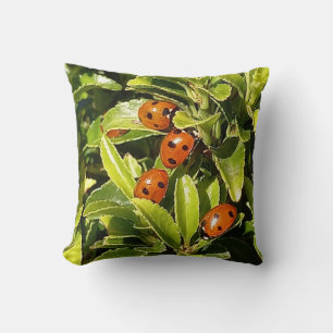 Coussin Ladybirds sur le Feuille