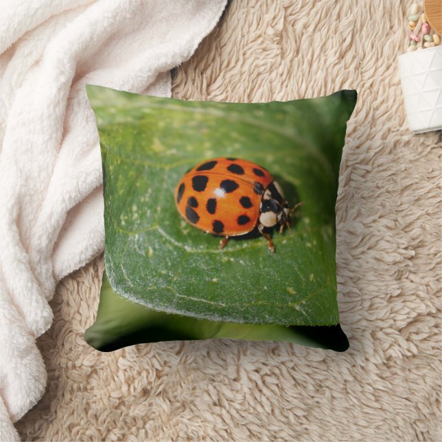 Coussin Ladybug Close Nature (Couverture)