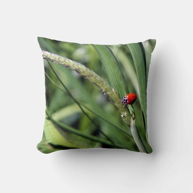 Coussin Ladybug (Coccinellidae) (Recto)