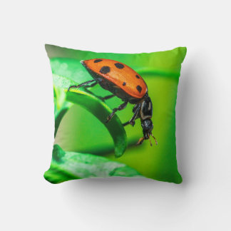 Coussin Ladybug Macro Throw Pillow Nature-Inspired Decor