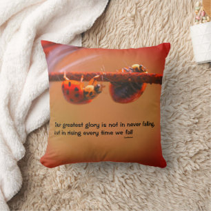 Coussin Ladybugs Attitude Inspiration Confucius Citation