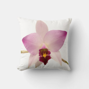 Coussin Laelia Ancep