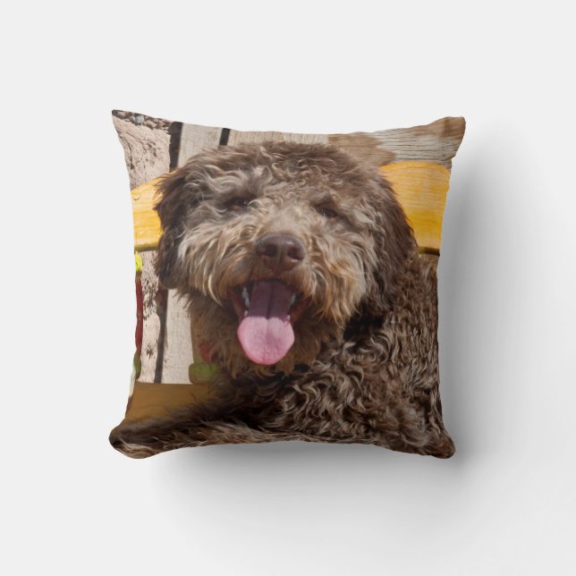Coussin Lagotto Romagnolo Allongé Sur Un Banc En Bois (Recto)