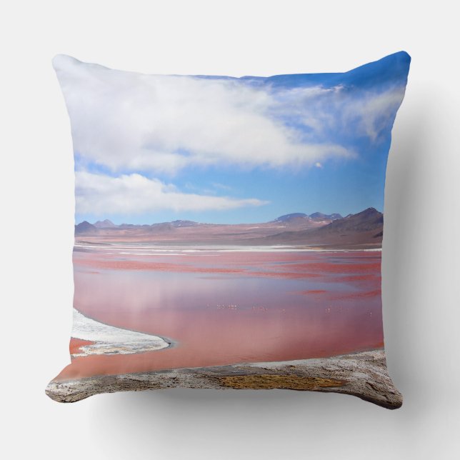 Coussin Lagune rouge, Laguna Colorada, carreau de la (Recto)