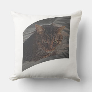 Coussin Laisse reposer le chat