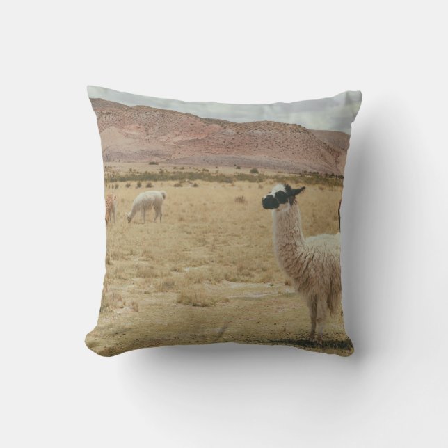 COUSSIN LAMA BLANC EN GRASS BROWN (Recto)