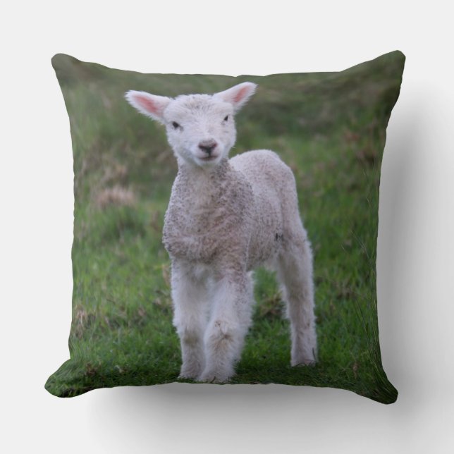 Coussin Lamb Bébé Mouton ferme animal (Recto)