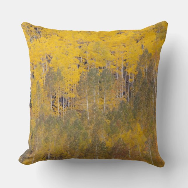 Coussin Lambert Hollow, trembles (Recto)