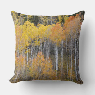 Coussin Lambert Hollow, trembles