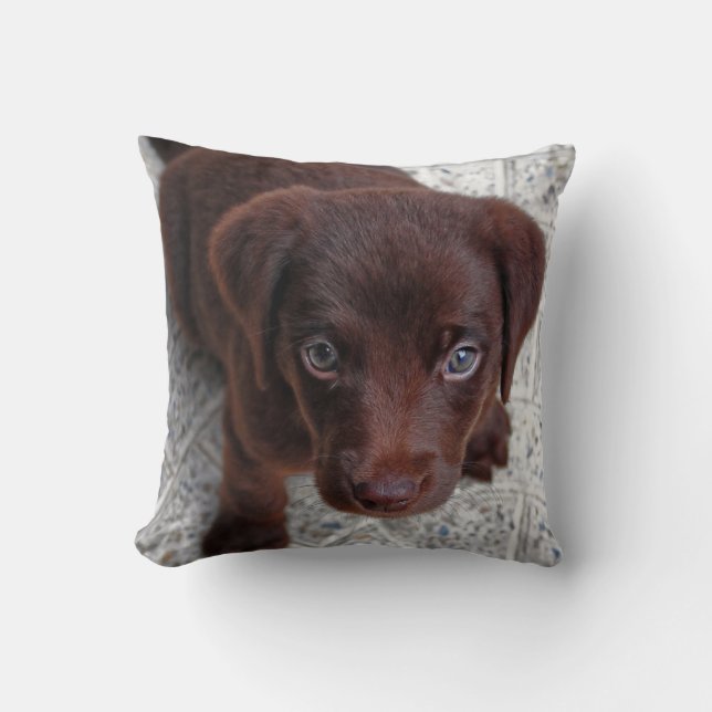 Coussin L'amour des chiots (Recto)