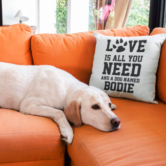Coussin L'Amour Est Tout Ce Dont Vous Avez Besoin Et Un Ch