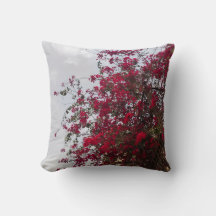Lancer de photographie florale de bougainvillée ro
