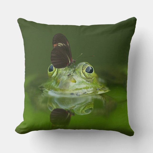 Coussin Lancer l'oreiller (Recto)
