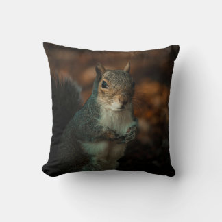 Coussin Lancer l'oreiller