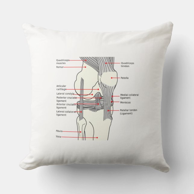 Coussin Lancer l'oreiller Diagramme anatomique genou droit (Recto)