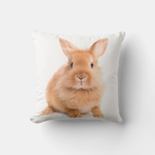 Coussin Lapin (Recto)