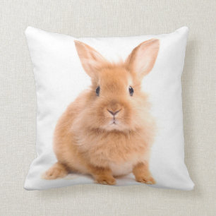 Coussin Lapin