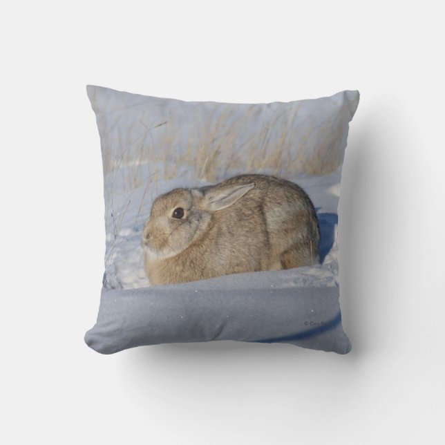 Coussin Lapin Cottontail R5 dans la neige (Recto)