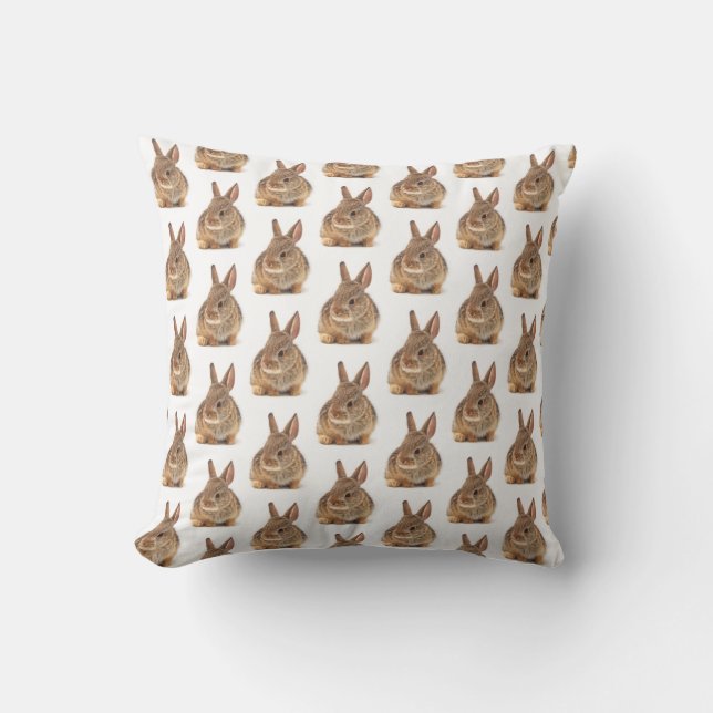 Coussin Lapin de lapin (Recto)