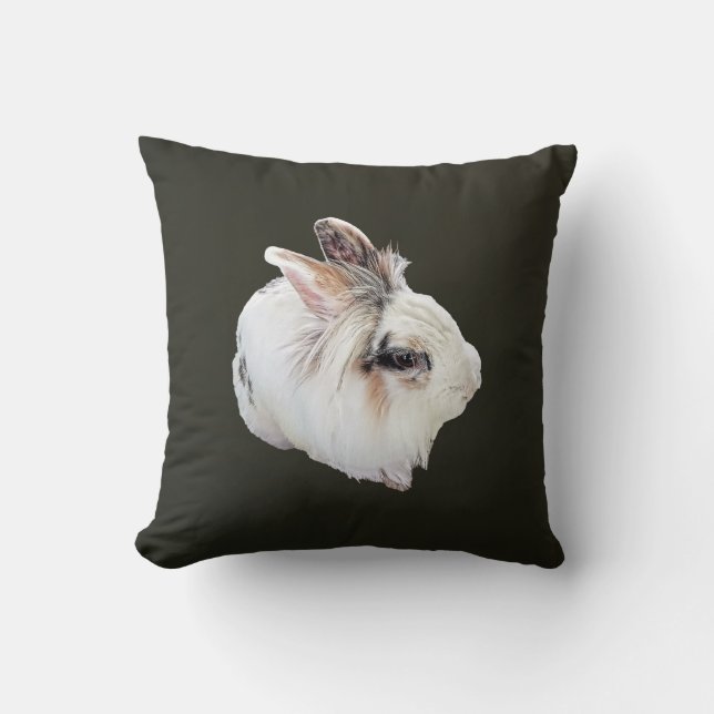 Coussin Lapin Lionhead tricolore (Recto)