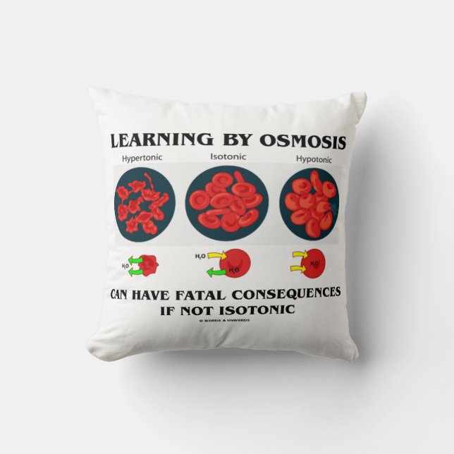 Coussin L'apprentissage par osmose peut avoir des conséque (Recto)