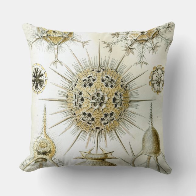 Coussin L'art de la nature par Ernst Haeckel (Recto)