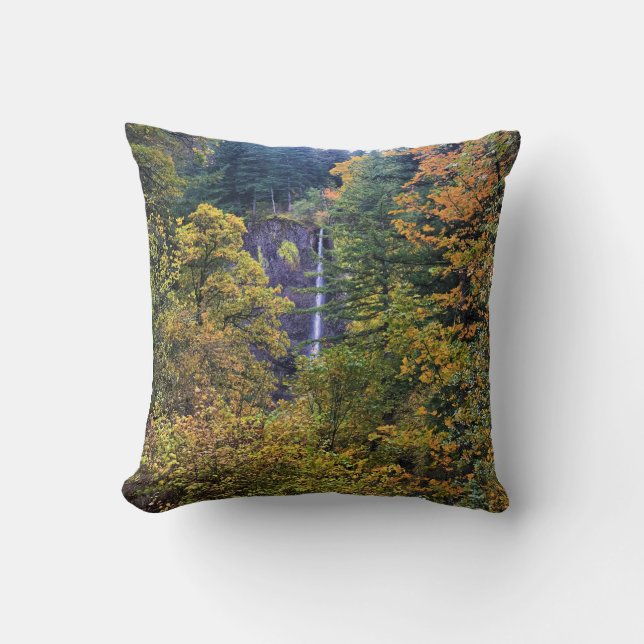 Coussin Latourell Falls, gorge de Columbia, Oregon (Recto)