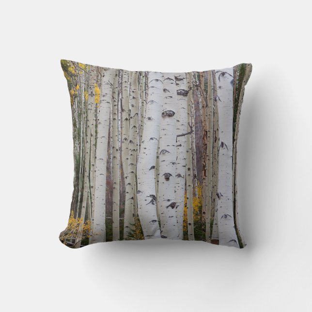 Coussin L'automne dans le Aspen's (Recto)