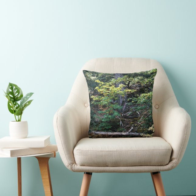 Coussin L'automne est là...... (Chaise)