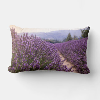 Coussin Lavender Field
