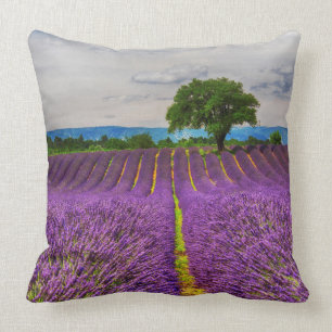 Coussin Lavender Field pittoresque, France