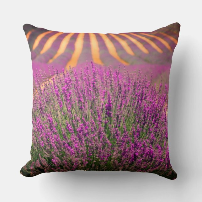 Coussin Lavender Field Thlow Pillow Pillow (Recto)