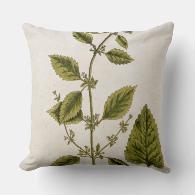 Coussin Le baume, plaquent 27 "d'un de fines herbes (Recto)