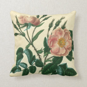 Coussin Le Briar doux s'est levé