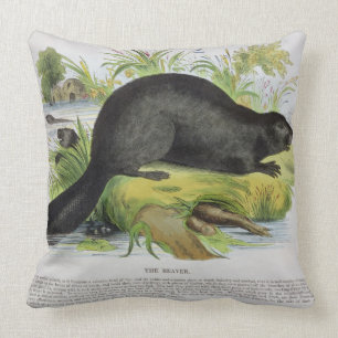 Coussin Le castor, pub éducatif d'illustration. par le S