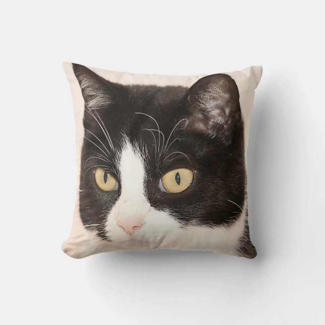 Coussin Le chat, chaton, Kitty font face au carreau (Recto)