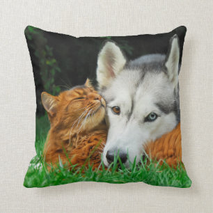 Coussin Le chat somalien et les amis mignons de chien de