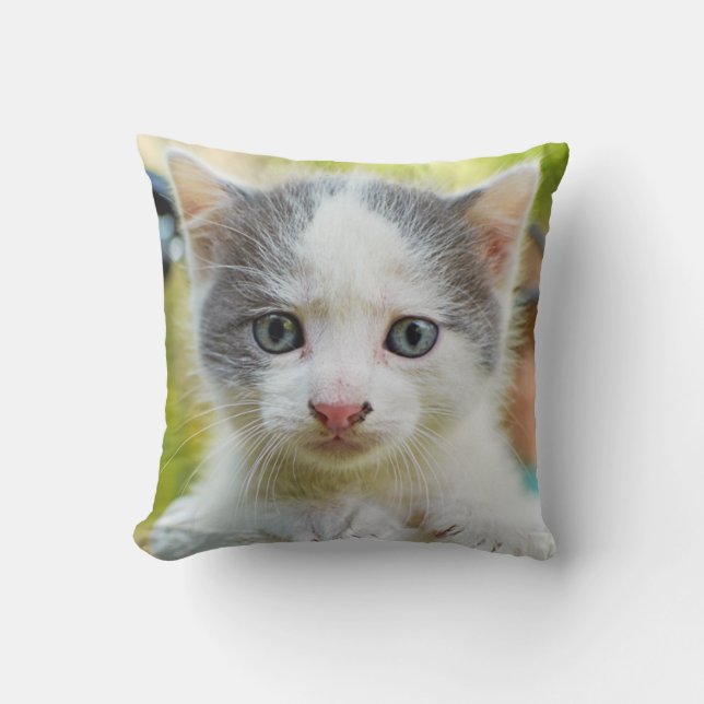 Coussin Le chaton monte un vélo (Recto)