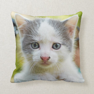 Coussin Le chaton monte un vélo