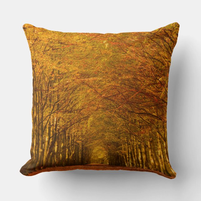 Coussin Le chemin de marche à travers la forêt en automne (Recto)