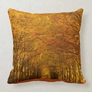 Coussin Le chemin de marche à travers la forêt en automne