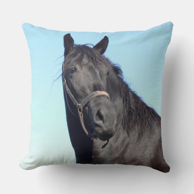 Coussin Le Cheval Noir Et Le Ciel Bleu (Recto)