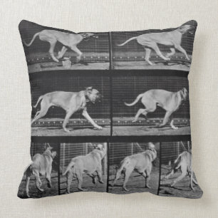 Coussin Le chien courant, plaquent 707 "de la locomotion